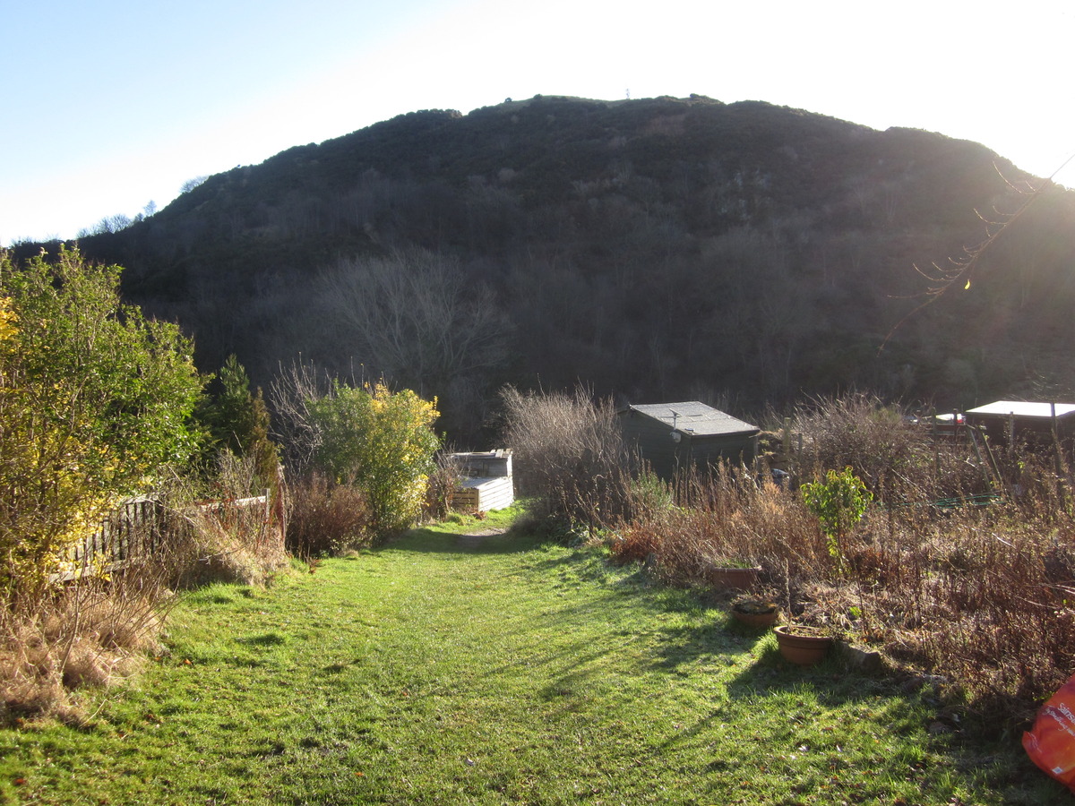 winter 2013